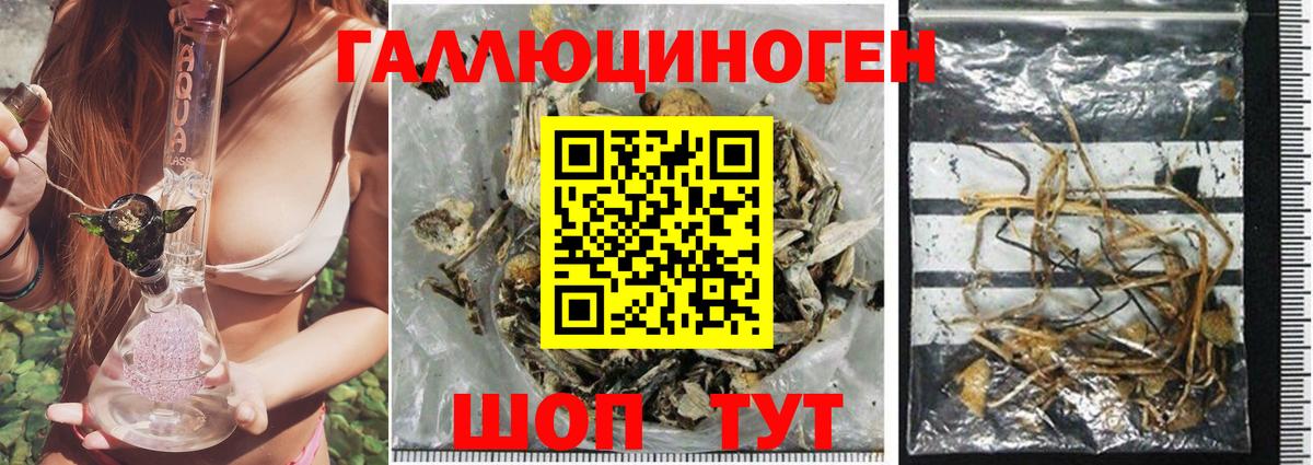 Псилоцибиновые грибы MAGIC MUSHROOMS Татарск