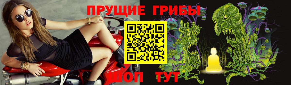 купить наркоту  Псилоцибиновые грибы ЛСД  Вход с VPN  Татарск 